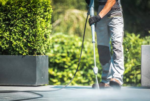 Reliable Elgin, SC Pressure washing Solutions